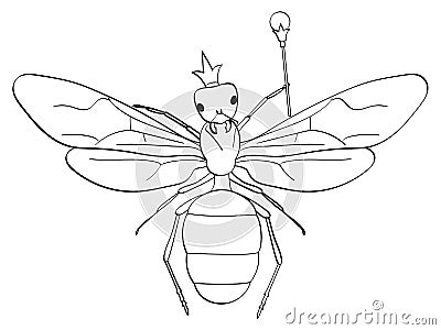 Isolated object coloring, black lines, white background. . The insect, the head of the ants, the queen in the crown and Cartoon Illustration