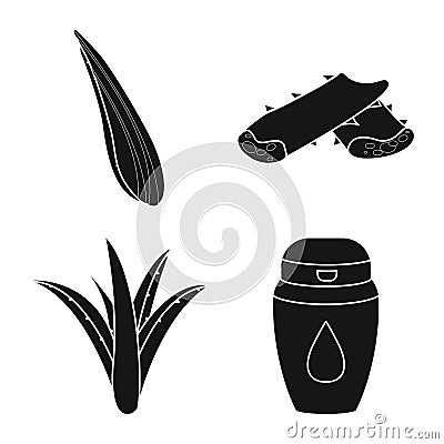 Isolated object of product and botany symbol. Set of product and medicine stock vector illustration. Vector Illustration