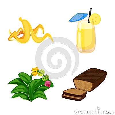 Isolated object of tropical and ripe sign. Collection of tropical and potassium vector icon for stock. Vector Illustration