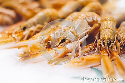 Isolated orange shrimp on ice background on the market, closeup of fresh crustacean products in restaurant, useful shellfish sea Stock Photo