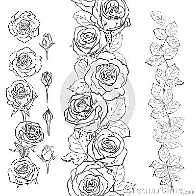 Isolated outline rose elements on white. Seamless brush for floral season design. Black and white. Vector Illustration