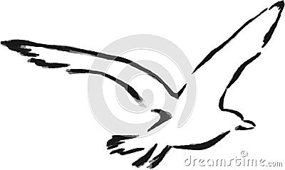 Isolated outline seagull Stock Photo