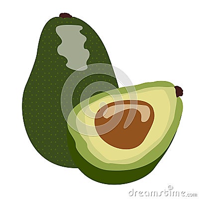 Isolated pair of avocados Vector Illustration