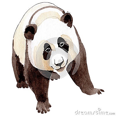 Isolated panda illustration element. Background, texture, wrapper pattern or tattoo. Cartoon Illustration