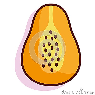 Isolated papaya fruit Vector Illustration