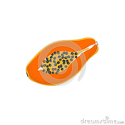 Isolated papaya icon. Vector tropical orange fruit Vector Illustration