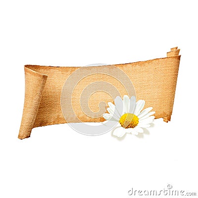 Isolated paper Banner with flower Stock Photo