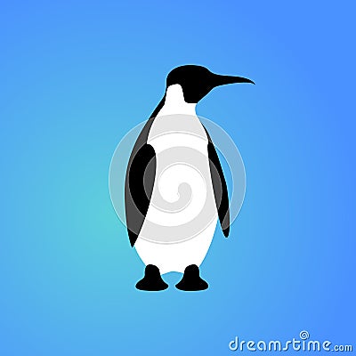 Isolated penguin on blue background. Sea animal, bird. Colorful penguin flat design Vector Illustration