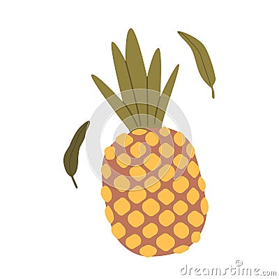 Isolated Pineapple Tropical Fruit Known For Sweet, Tangy Flavor, with Spiky, Rough Skin And Juicy, Golden-yellow Flesh Vector Illustration