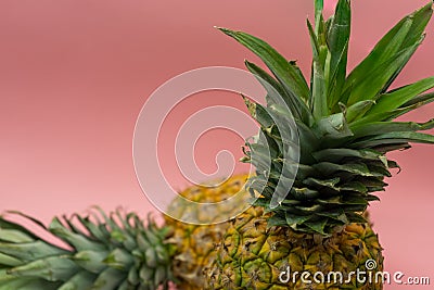 Isolated pineapples on a pink background with space for text in the upper left of the image. Healthy food concept Stock Photo