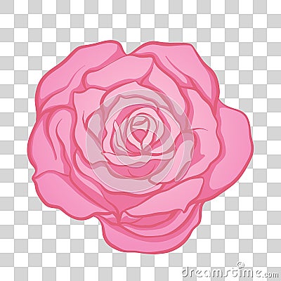 Isolated pink rose flower. Stock vector illustration. Vector Illustration