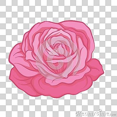 Isolated pink rose flower. Stock vector illustration. Vector Illustration