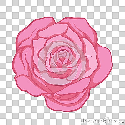 Isolated pink rose flower. Stock vector illustration. Vector Illustration