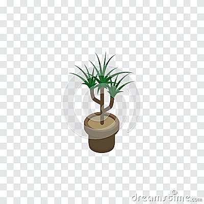 Isolated Plant Isometric. Houseplant Vector Element Can Be Used For Plant, Flowerpot, Botany Design Concept. Vector Illustration