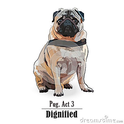 Isolated Pug dog with a grumpy expression Vector Illustration
