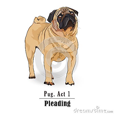 Isolated Pug dog with a pleading expression Vector Illustration