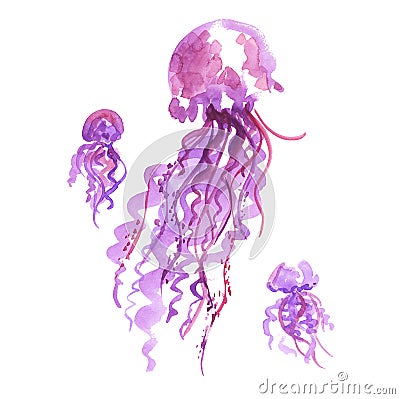 Isolated purple jellyfish watercolor illustration. Cartoon Illustration