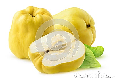 Isolated quince fruits Stock Photo