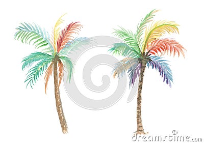 isolated rainbow coconut tree watercolor illustration, nature plant on white Cartoon Illustration