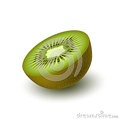 Isolated realistic colored green juicy half kiwi with shadow on white background. Side view. Vector Illustration