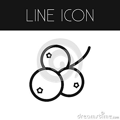 Isolated Redcurrant Outline. Vector Illustration