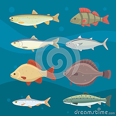 Isolated river fish. Set of freshwater sea cartoon fishes. Fauna ocean vector illustration Vector Illustration