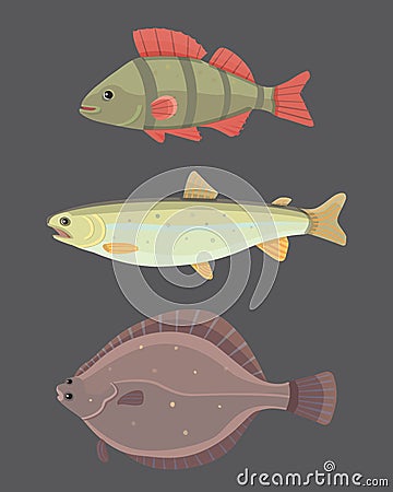Isolated river fish. Set of freshwater sea cartoon fishes. Fauna ocean vector illustration Vector Illustration