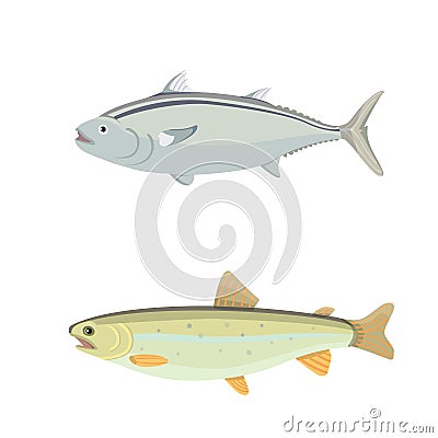 Isolated river fish. Set of freshwater sea cartoon fishes. Fauna ocean vector illustration Vector Illustration