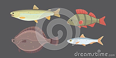 Isolated river fish. Set of freshwater sea cartoon fishes. Fauna ocean vector illustration Vector Illustration