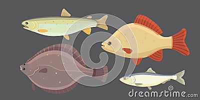 Isolated river fish. Set of freshwater sea cartoon fishes. Fauna ocean vector illustration Vector Illustration