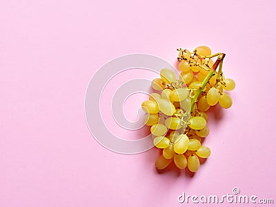 Isolated set of a bunch of sweet seedless grapes in studio with millennial pink background Stock Photo