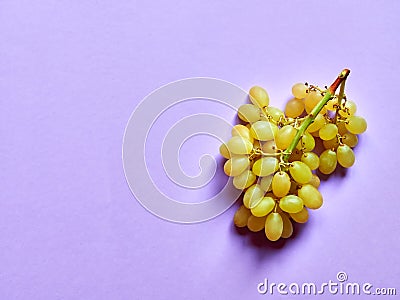 Isolated set of a bunch of sweet seedless grapes in studio with pastel violet background Stock Photo