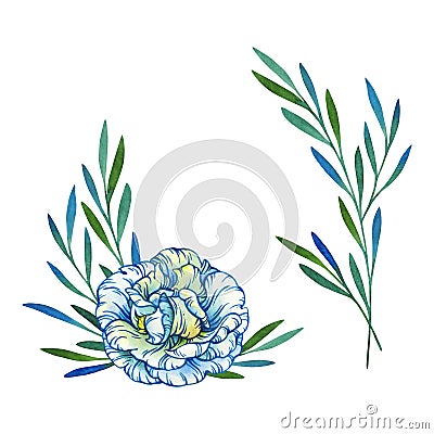 Isolated set of watercolor decor with white rosehip flower and graceful blue branches Stock Photo
