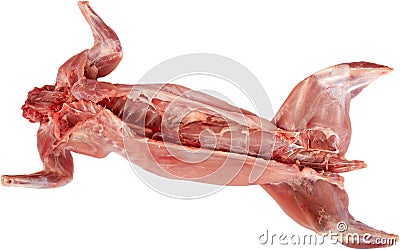 Isolated skinned rabbit Stock Photo