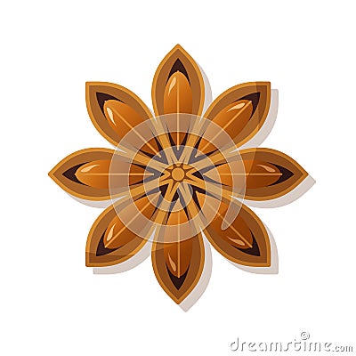 Isolated star anise on white background. Culinary ingredient for baking and drinks, oriental spice badian, popular spice Vector Illustration