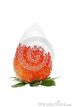 Isolated Strawberry With Whip Cream Stock Photo