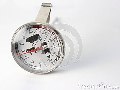 isolated thermometer animals Stock Photo