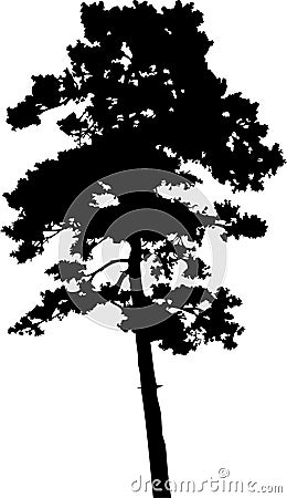 Isolated tree - 13. Silhouette Vector Illustration