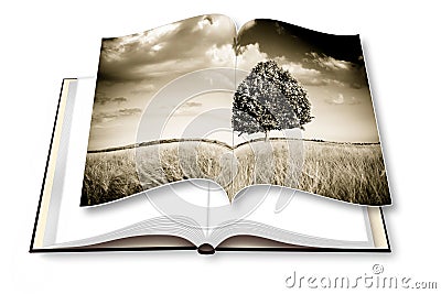 Isolated tree in a tuscany wheatfield - Italy - Opened photo book isolated on white - I`m the copyright owner of the images use Stock Photo