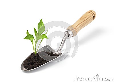 Isolated trowel and seedling Stock Photo