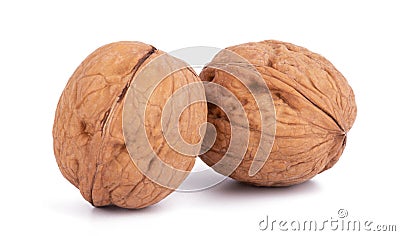 Isolated two wallnuts on white background close up Stock Photo