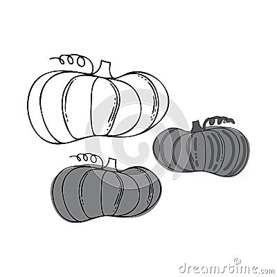 Isolated vector black and white illustration of decorative lined set of grey silhouettes of pumpkins Vector Illustration