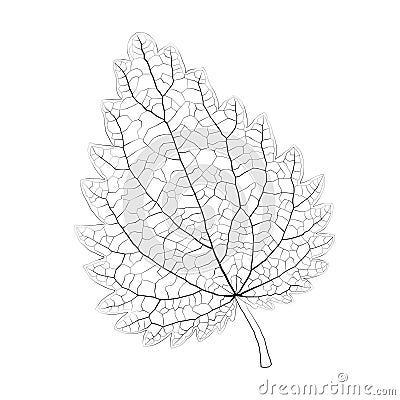 Isolated vector monochrome nettle leaf. Vector Illustration