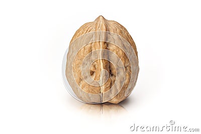 Isolated walnut Stock Photo