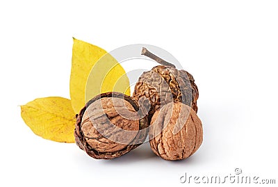 Isolated walnuts with leafs Stock Photo