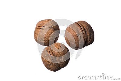 Isolated walnuts on white background Stock Photo