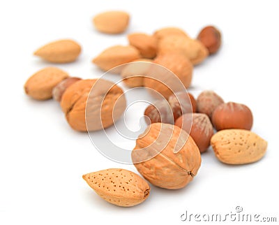 Isolated walnuts Stock Photo