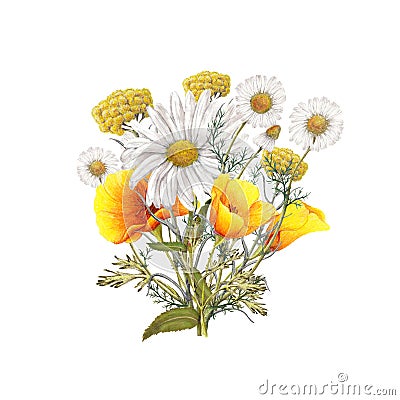 Isolated watercolor bouquet Stock Photo