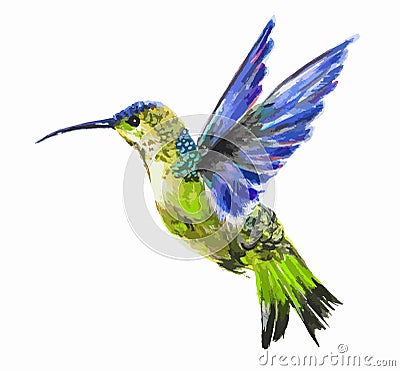 Isolated watercolor hummingbird. Vector Illustration
