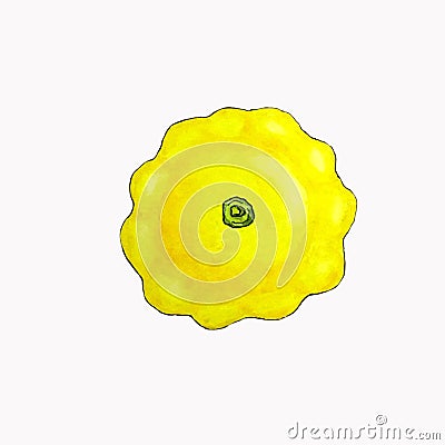 Isolated watercolor squash, patty pan on white background. Healthy and fresh vegetable with vitamins Stock Photo